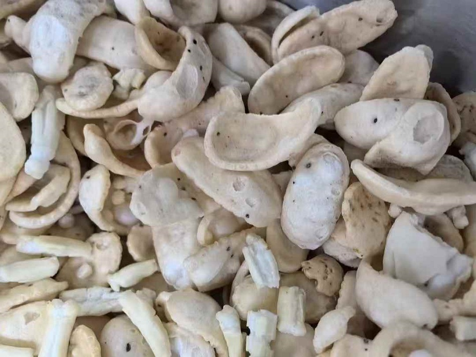 许昌智工炒货机