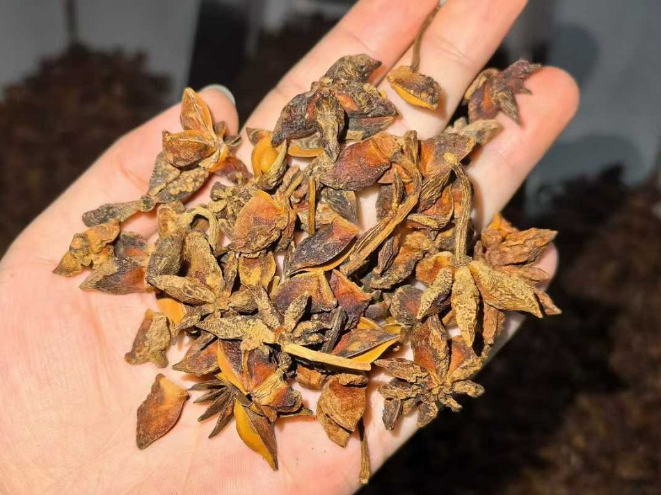 许昌智工电磁炒货机